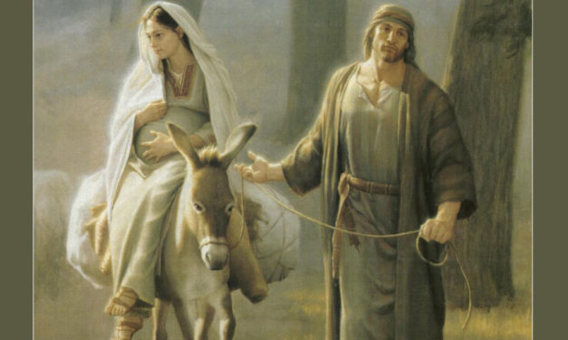 Quanto mais pobre fores, mais Jesus Te amará.