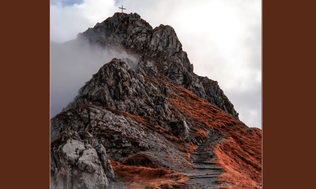 Caminho de despojamento e pobreza: caminho de Amor.