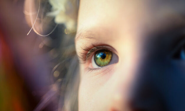 Pôr sempre os olhos nos Teus olhos…
