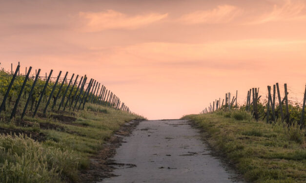 Caminho estreito: caminho de felicidade.
