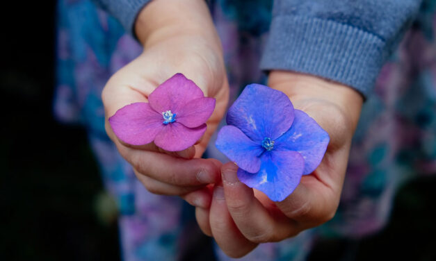 Tudo o que peço é Amor