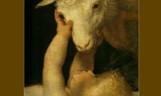 Retribuir amor por Amor.
