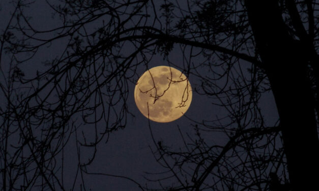 «Naquela noite…