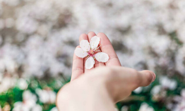 O amor ao próximo faz brotar nos corações as flores da esperança.