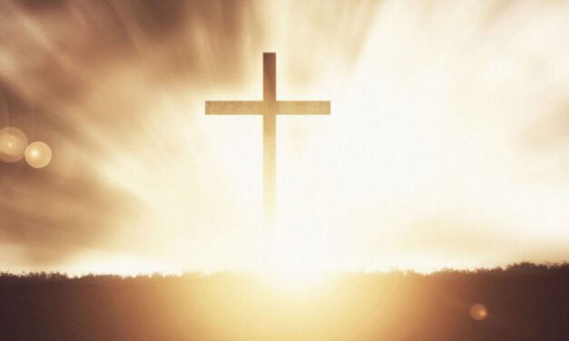 A luz e a Cruz forjam a fidelidade ao Teu Amor.