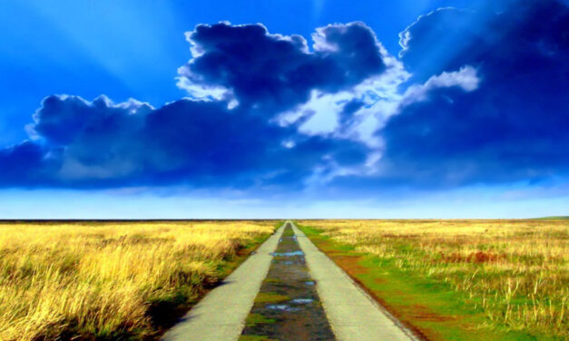 Senhor, o que Tu quiseres…