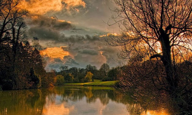 A Natureza dá-me o ósculo da paz