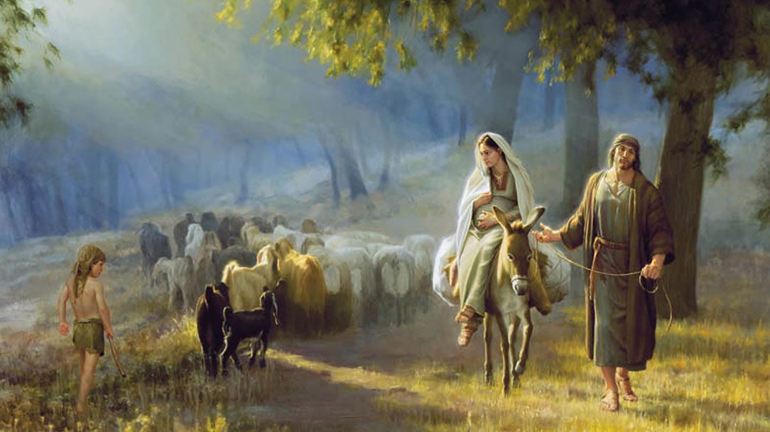 Gratidão pelas maravilhas de Deus