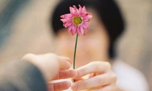 O amor age quando é alimentado