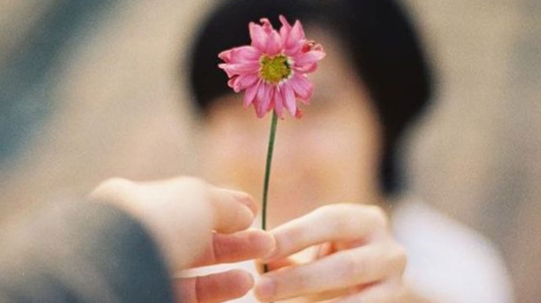 O amor age quando é alimentado