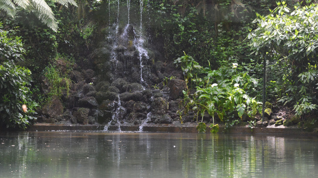 A minha alma tem sede de Ti