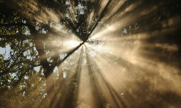 A profundidade do amor