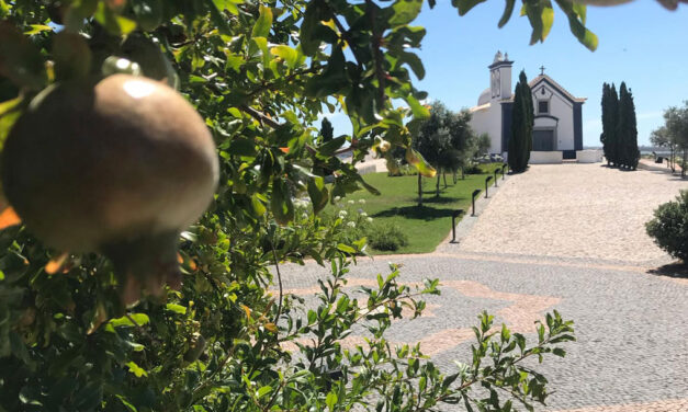 Seguir o caminho da tua vontade