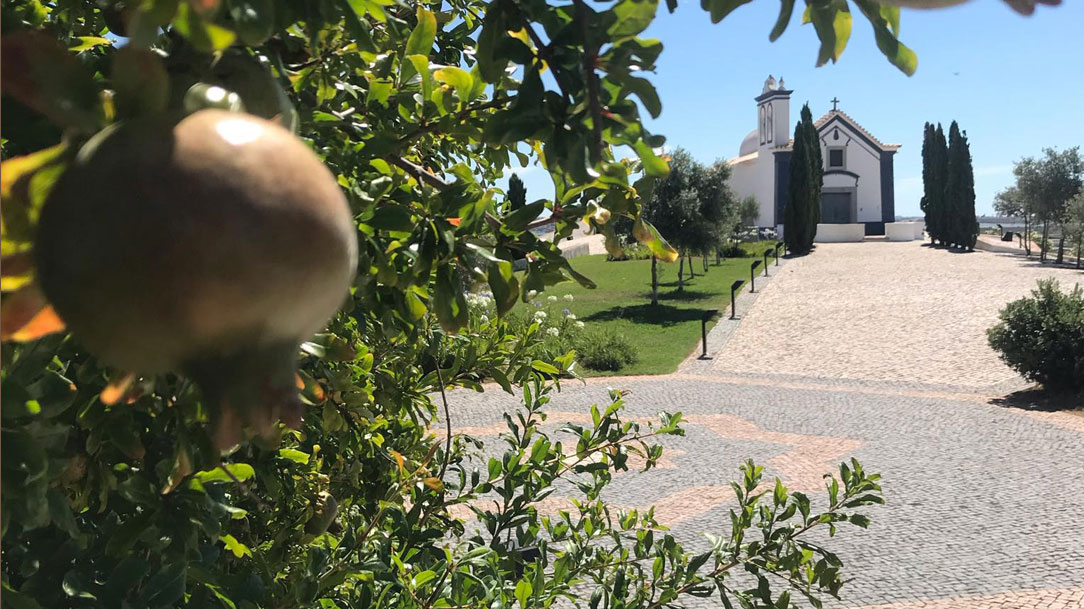 Seguir o caminho da tua vontade