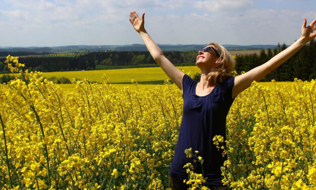 Ilusões sobre a riqueza