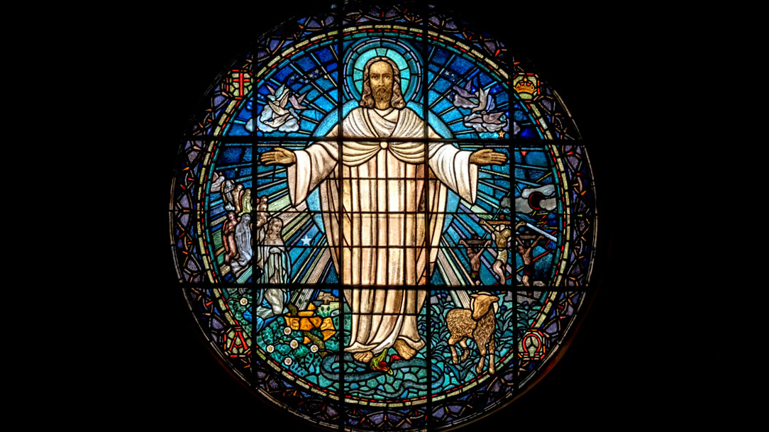 Livres pela ressurreição