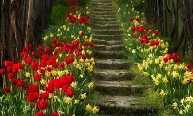 Senhor, que eu acerte com o caminho